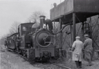 W & L Countess Watering 2