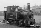 W & L The Countess