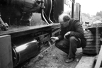 Bill Faulkner oils Dolgoch