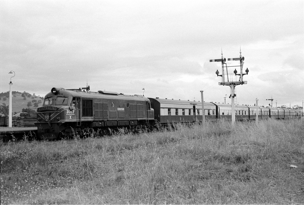 Australind Daylight Express at Brunswick Junction