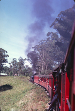 Puffing Billy 4.jpg