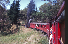 Puffing Billy 5.jpg