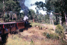 Puffing Billy 6.jpg