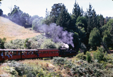 Puffing Billy 9.jpg