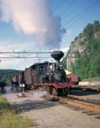 At Grovane on the mixed gauge.jpg
