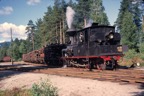 No5 shunting timber.jpg
