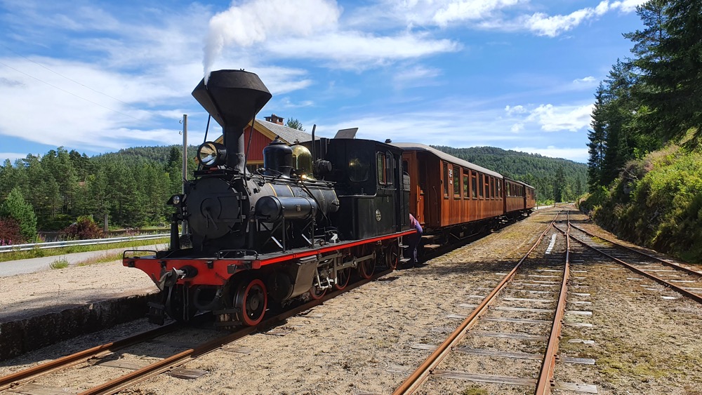 No5 at R&oslash;yknes Station - Photo by Hans Sorenson
