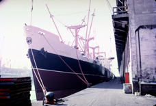 Armadale Port Bow.jpg