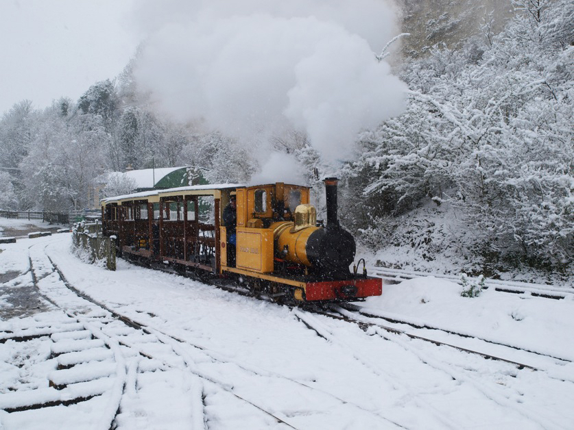Polar Bear in the Snow at Amberley Museum