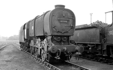 Q1 33016 at Feltham