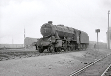 8F 48616