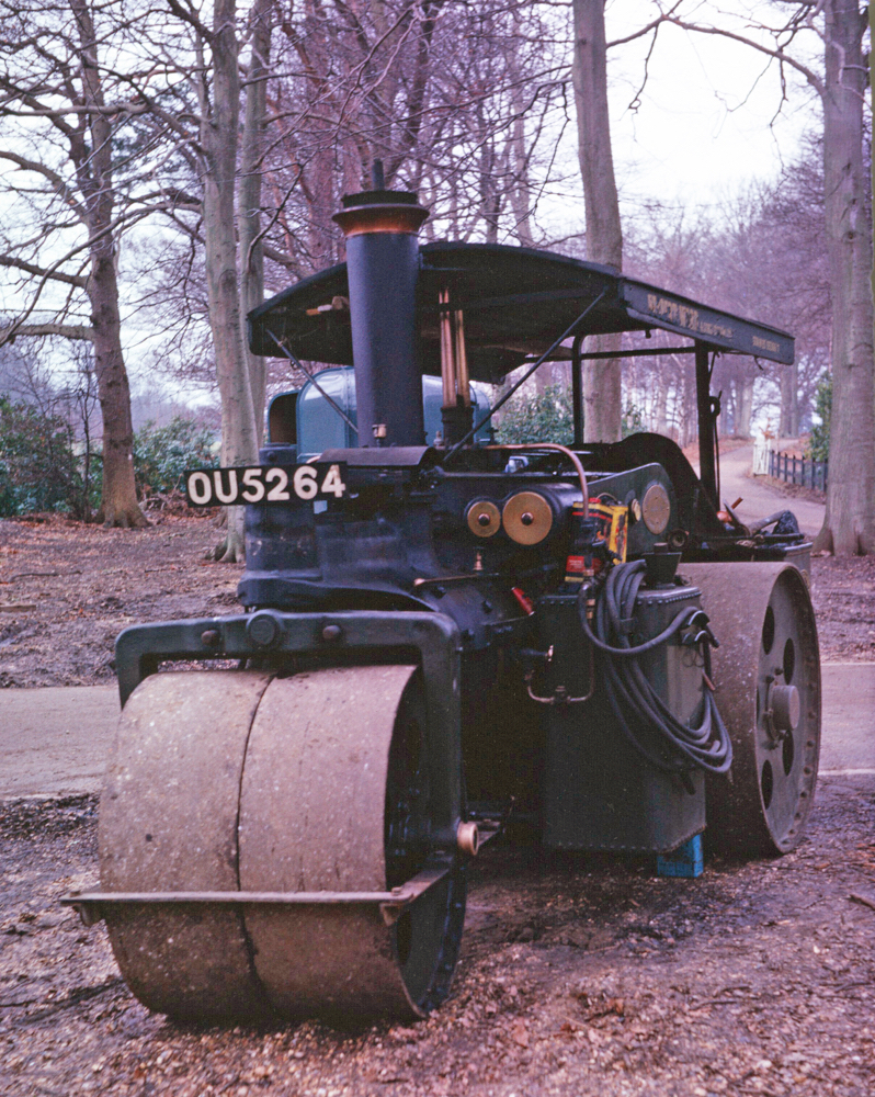 Wallis at Titness Park